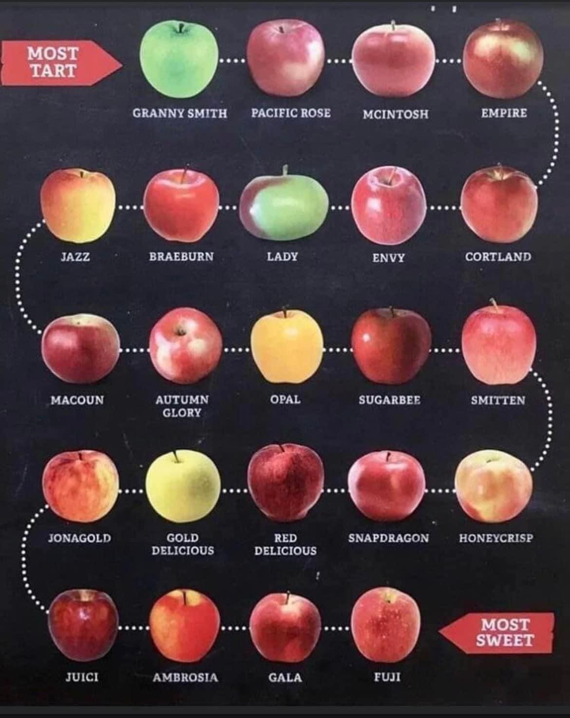 A Chart of Apples from Most Tart to Sweetest The Writers' Group